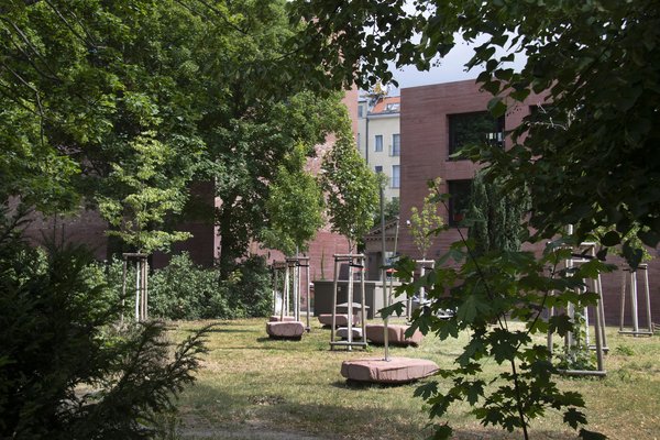 Garten mit jungen Bäumen und Steinen auf dem Boden