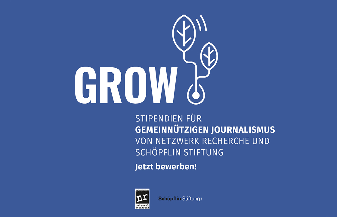 Grafik der Grow-Stipendien für gemeinnützigen Journalismus