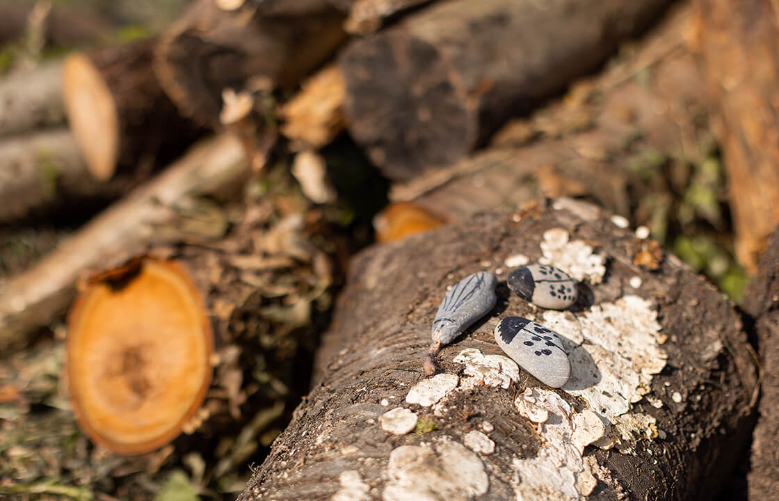 Baumstämme im Wald mit zwei Käfern aus Stein.